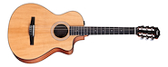 TAYLOR 112ce N