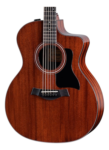 TAYLOR 224ce Special Edition