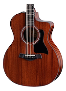 TAYLOR 224ce Special Edition