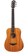 TAYLOR BT2