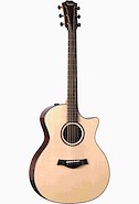 TAYLOR 414ce-R (Nat Top)