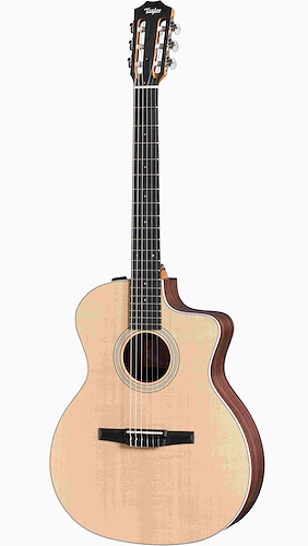 TAYLOR 214ce N