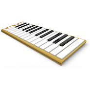 CME XKEY25GOLD