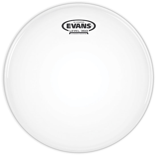 EVANS BD20G1