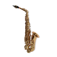 GALA WINDS XA1100