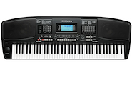 KURZWEIL KP300X