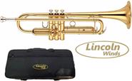 LINCOLN JYTR1401 DORADA C/ESTUCHE