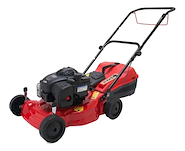 PETRI 4001 CORTADORA 4.5HP 2 EN 1 B&S 5 POS