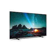 PHILIPS PFD7309/77 TV LED 55