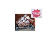 RICCO  LEÑOS A GAS 5800 CALORIAS