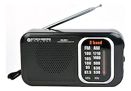 STROMBERG CARLSON RA-2011 RADIO ANALOGICA AM-FM DUAL 220/PILAS