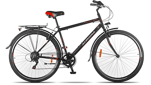Bicicleta Rodado 28 Spillo