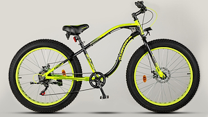 Bicicleta Aurora Bacota Fat Bike