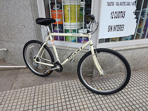 Bicicleta Giant Rincon de los 90 Cromo