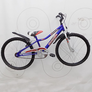 Bicicleta infantil rodado 24