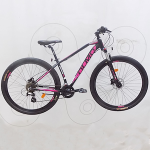 Bicicleta dama Rodado 29