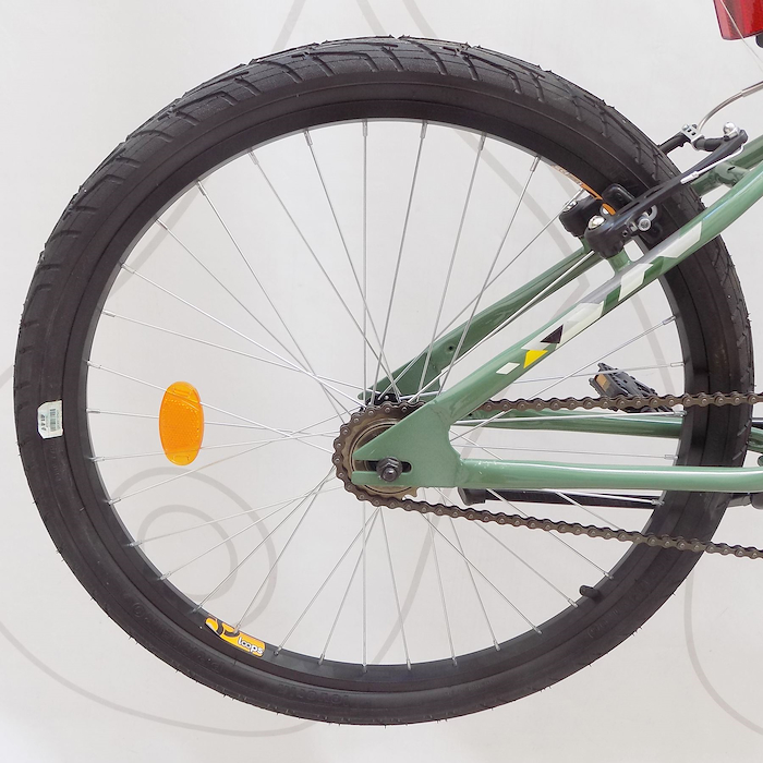 Olmo mint 2025 24