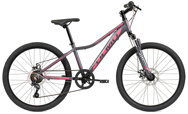 Bicicleta rodado 24