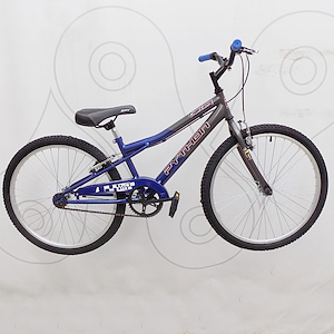 Bicicleta infantil Rodado 24" Python Joker
