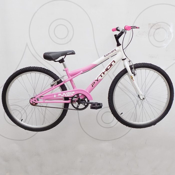 Bicicleta infantil Rodado 24