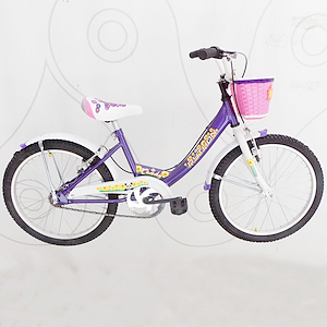 Bicicleta Niñas Rodado 20