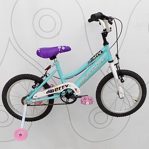 Bicicleta Niñas Rodado 16