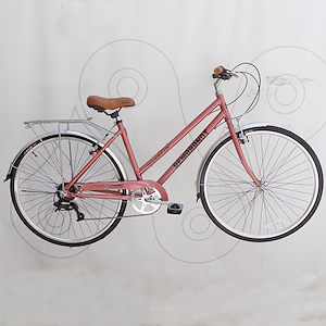 Bicicleta paseo 7v rodado 28