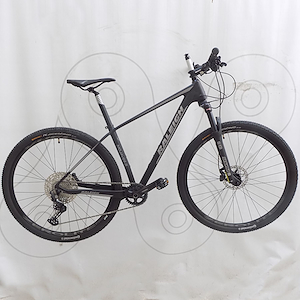 Bicicleta mtb Raleigh Mojave 8.0 12v 29" Carbono
