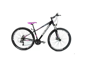 Bicicleta Rodado 29