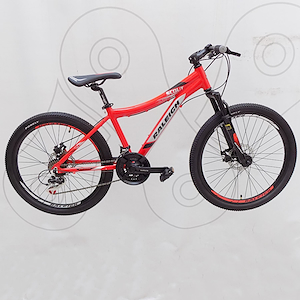 Bicicleta mtb rodado 24