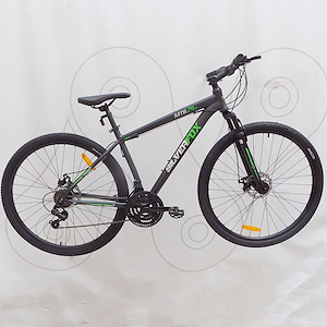 Bicicleta SilverFox mtb rodado 29