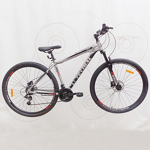 Bicicleta mtb 21v rodado 29