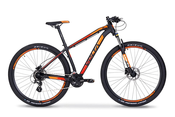 Bicicleta mtb 29