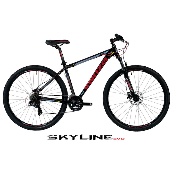 Bicicleta mtb 29