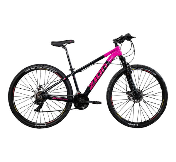 Bicicleta MTB Rodado 29