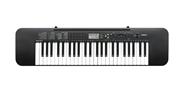 Organo Teclado 4 Octavas 49 Teclas CASIO CTK240