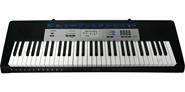 Organo Teclado 5 Octavas 61 Teclas CASIO CTK1550