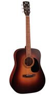 Guitarra Acustica Dreadnought c/funda CORT AD810-SSB