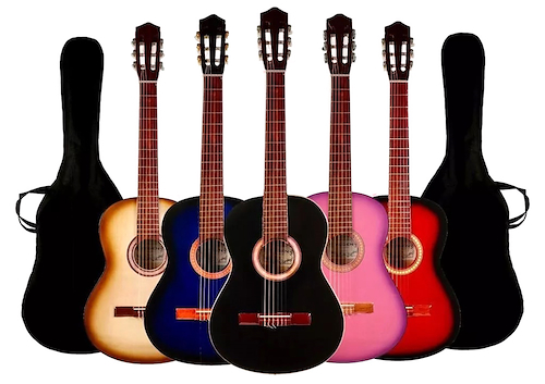 Guitarra Criolla Clasica ESTUDIO EL TRONADOR CLASICA