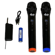 Microfono Inalámbrico VHF Doble de Mano GBR 3MG-PRO 255