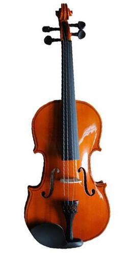 Violin 4/4 Iniciacion con Estuche y Arco HEIMOND L1412P