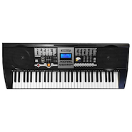 Organo Teclado Sensitivo 5 Octavas 61 Teclas c/FUENTE HOFFMANN YWKB-906