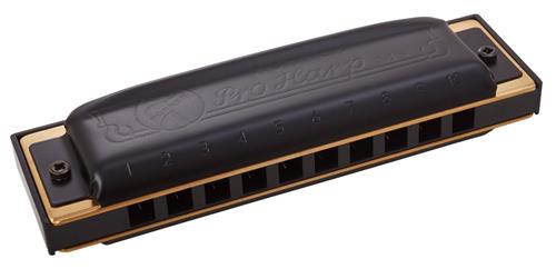 Armonica Pro Harp Diatonica 20V - Abs - D - HOHNER M564036