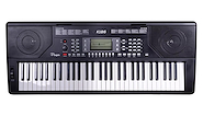 Organo Teclado 5 octavas 61 Teclas Sens. PARQUER K186BK