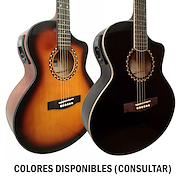 Guitarra Electroacustica c/Eq 5 Bandas y Afinador QTE QAG-41-5B