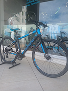 RALEIGH  URBAN 1.1 T17
