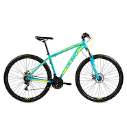 OLMO WISH 290 R29 DISC ENTRY