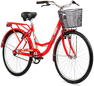 OLMO PRIMAVERA