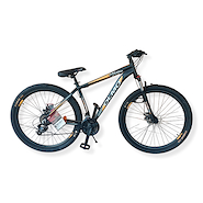 OLMO FLASH 290 R29 21V DISC ENTRY