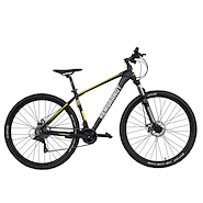 REMBRANDT VENTURA R29
